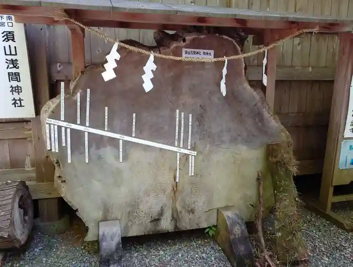 須山浅間神社(静岡県)