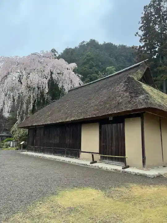 高麗神社(埼玉県)