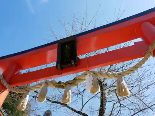 金櫻神社の鳥居