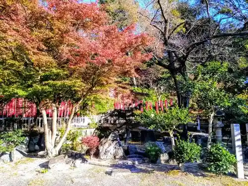 春江院の庭園