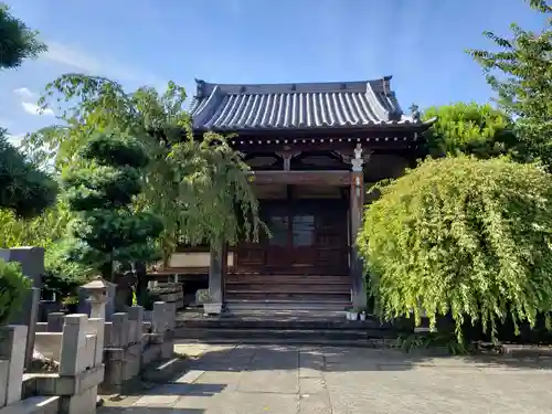 清林寺の本殿・本堂