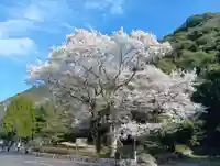 岐阜護國神社(岐阜県)