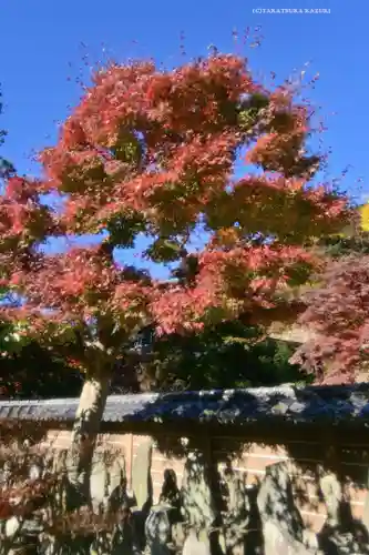 円覚寺(神奈川県)