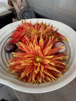 大将軍神社　東三條殿のその他建物