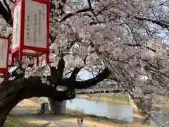 妙経寺の自然