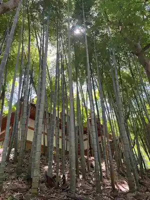円覚寺(神奈川県)