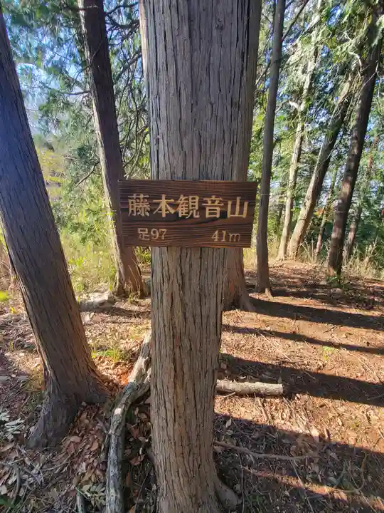 阿夫利神社(藤本観音山古墳)(栃木県)