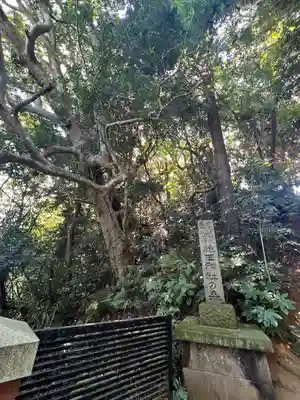 猿田神社(千葉県)