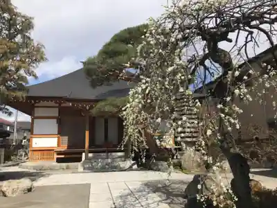 普門寺(東京都)