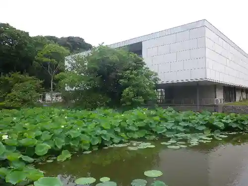 鶴岡八幡宮の庭園