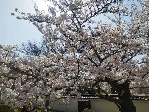 醍醐寺(京都府)