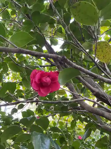 溝旗神社（肇國神社）(岐阜県)