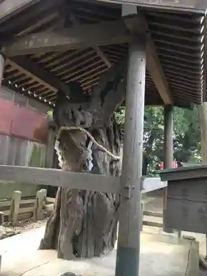 鶴嶺八幡宮のその他建物