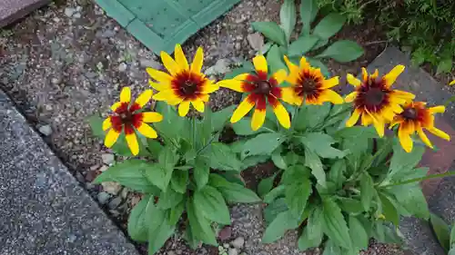 熊沢権現神社(静岡県)