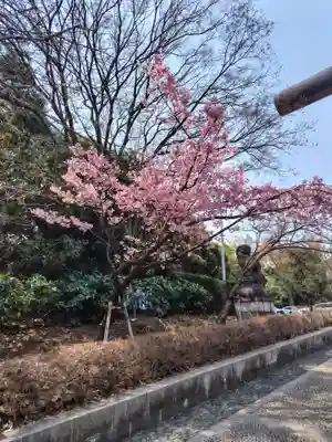 靖國神社(東京都)