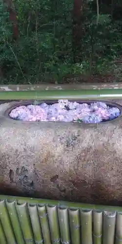 多賀大社の手水舎