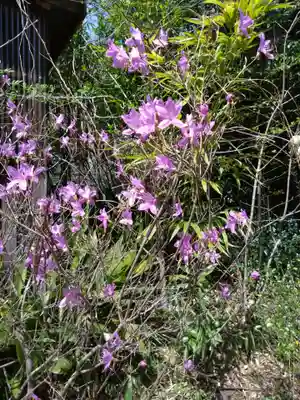 天岩戸神社(宮崎県)