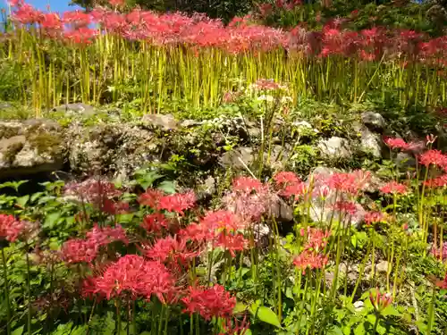 仏隆寺(奈良県)