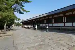 東大寺(奈良県)