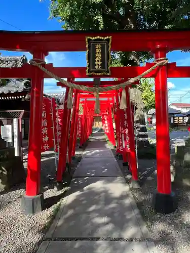 於菊稲荷神社の鳥居