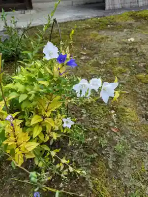 上品蓮台寺(京都府)