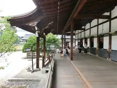 大覚寺(京都府)