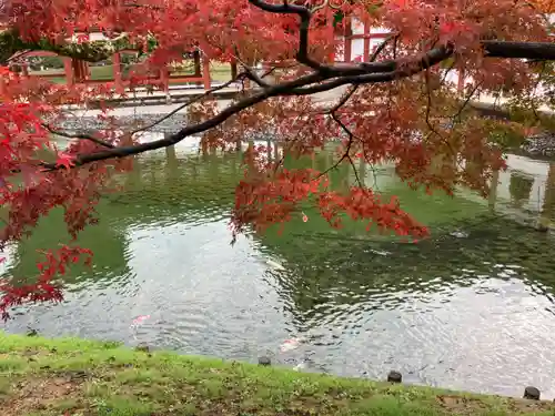 平等院(京都府)