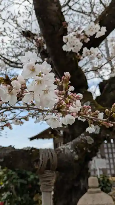 橋寺 放生院(京都府)