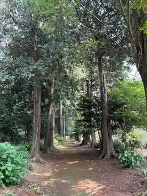 結城諏訪神社(茨城県)