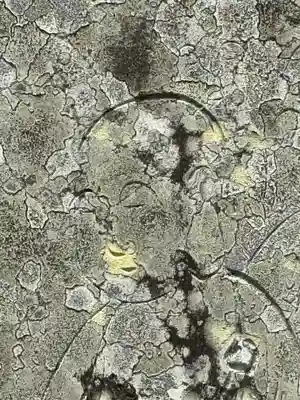 聖衆来迎寺(滋賀県)