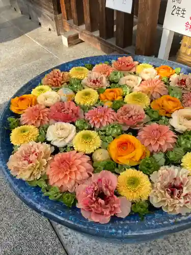 行田八幡神社の手水