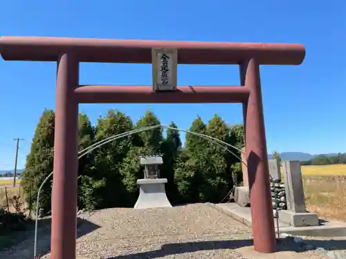 京極神社(茶志内金刀比羅宮)の鳥居