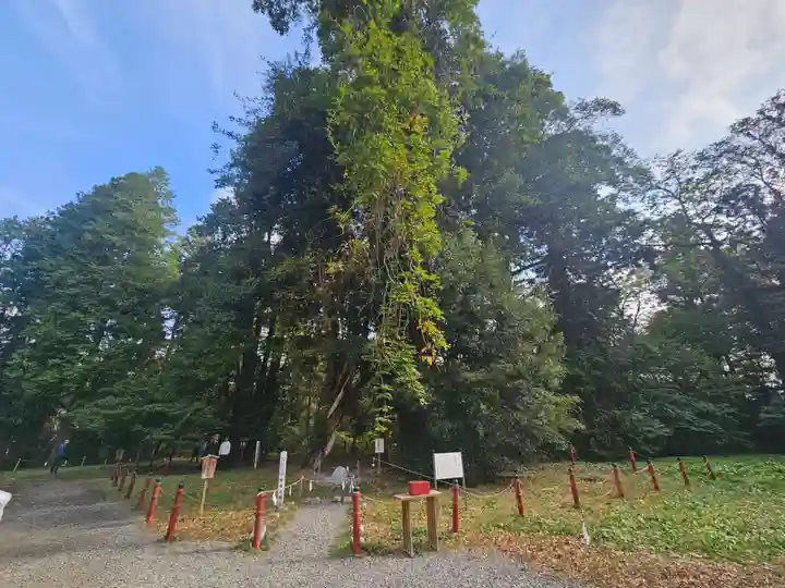 伊佐須美神社(福島県)
