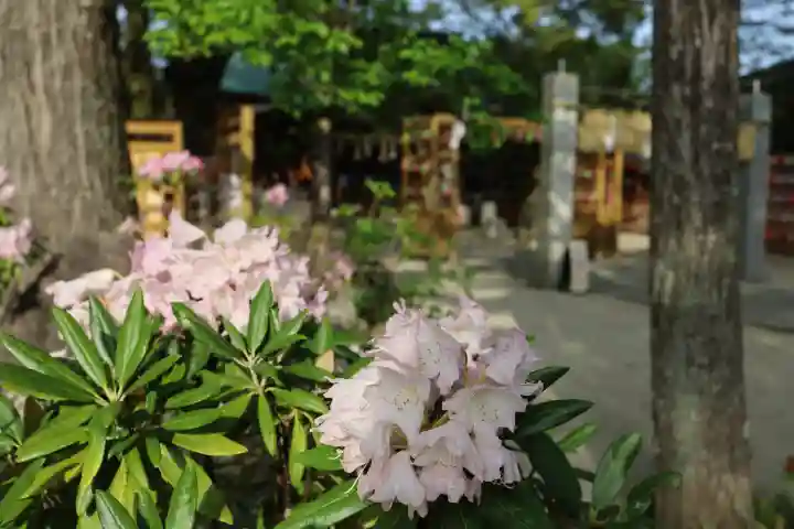 現人神社(福岡県)