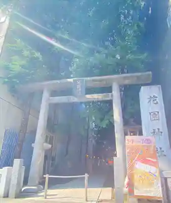花園神社の鳥居