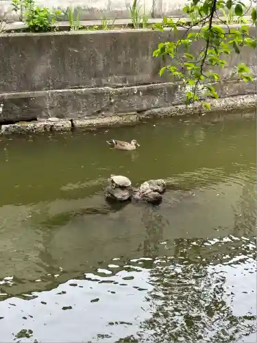 磐井神社(東京都)
