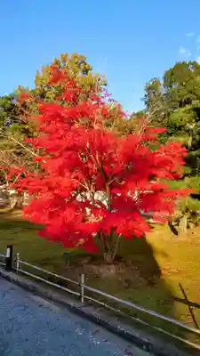 仁和寺(京都府)