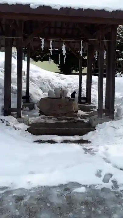 札幌村神社の手水舎