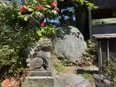 御前神社の狛犬