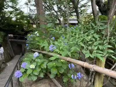 頼光寺(兵庫県)