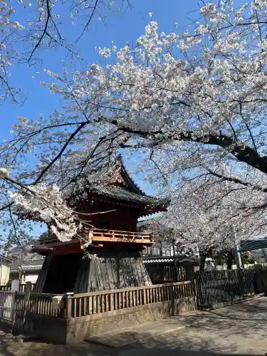 喜多院の{uncategorized: "未分類", other: "その他", undefined: "問題あり", building: "その他建物", grave: "お墓", sacred_gate: "鳥居", guardian: "狛犬", statue: "像", buddha: "仏像", history: "歴史", nature: "自然", garden: "庭園", animal: "動物", pagoda: "塔", temizu: "手水舎", mountain_gate: "山門・神門", sanctuary: "本殿・本堂", subordinate: "末社・摂社", art: "芸術", scenery: "景色", jizo: "地蔵", ema: "絵馬", goshuin: "御朱印", omikuji: "おみくじ", items: "授与品その他", amulet: "お守り", goshuincho: "御朱印帳", eats: "食事", festival: "お祭り", votive_dance: "神楽", shichigosan: "七五三参", wedding: "結婚式", experience: "体験その他", initially: "初詣", around: "周辺", anti_infection: "感染症対策"}