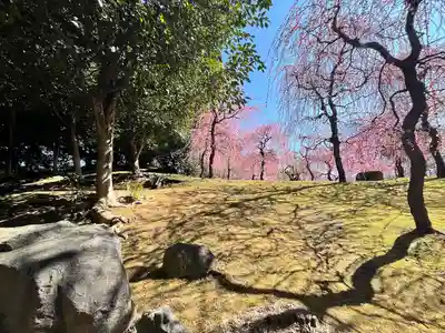 城南宮(京都府)