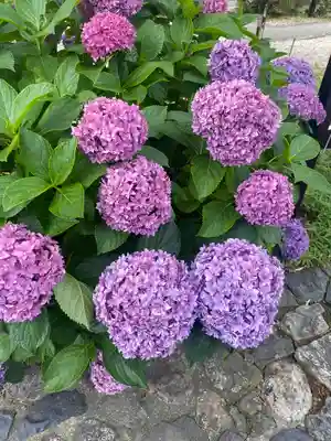 御霊神社の自然