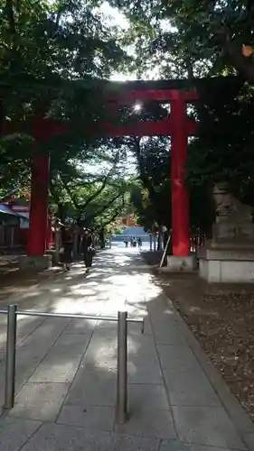 花園神社の鳥居