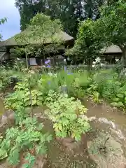 大雄寺(栃木県)