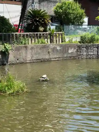 山王厳島神社(東京都)