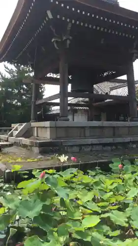 大通寺（長浜御坊）の建物その他