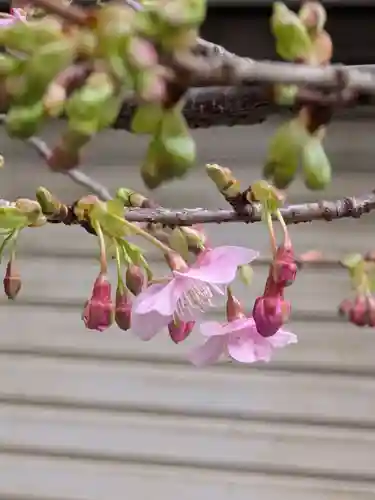 十番稲荷神社(東京都)