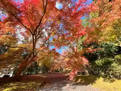 弘川寺(大阪府)