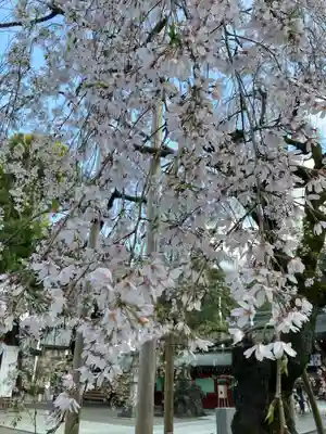 大國魂神社(東京都)